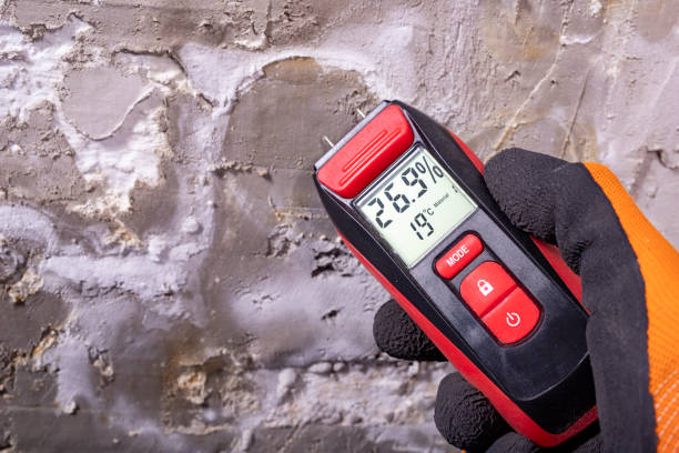 Best Health and Safety Mold Remediation in Oakton, VA