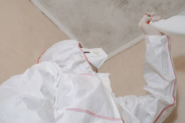 Best Localized Mold Remediation (e.g., coastal areas, humid climates) in Oakton, VA